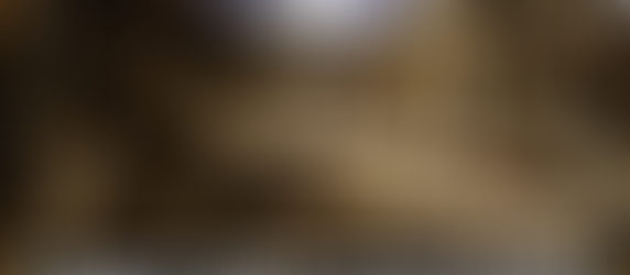 Olin Winchester in Illinois and Missouri Reap the Benefits with the Largest Defense Union in the Country