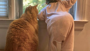 So Which Came First: the chicken or the egg? No, it was a cat!!😆