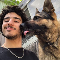 Mehdi