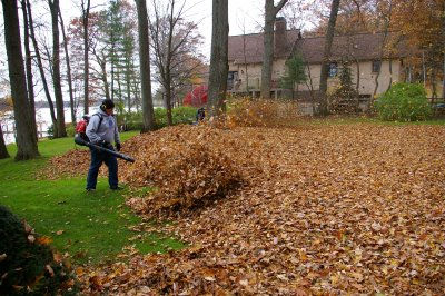 Spring and Fall Clean up