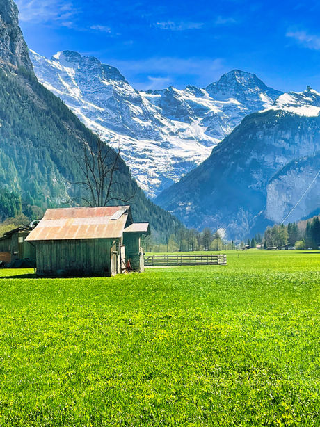 Farm House, Lauterbrunnen, Switzerland, Green Field, Snow on mountains
