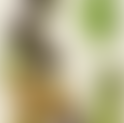 Flat lay of artichokes, peas, and asparagus