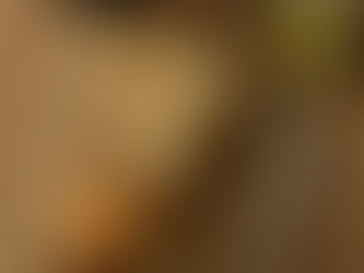 Elevate Your Food Photography with These 10 Essential Props