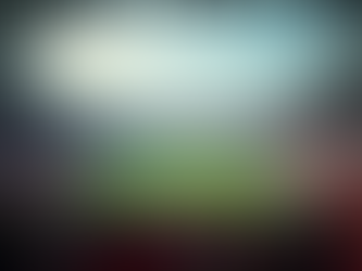 Индивидуална тренировка