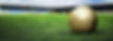 Soccer ball on field_edited.jpg