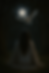 moonowl.png
