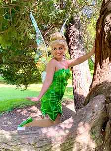 The Pixie Fairy