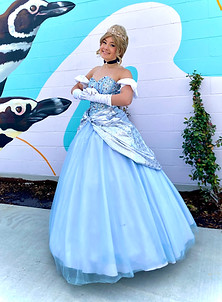 The Midnight Princess