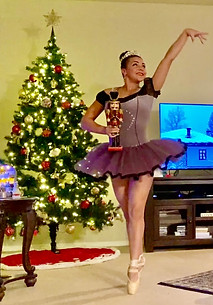 Ballerina Princess from Royale Princess Wishes
