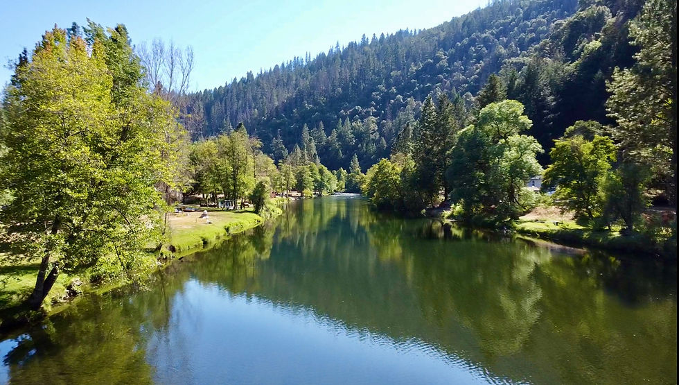 Drone view of the Trinity River in Northern California on a sunny day, surrounded by lush greenery and mountain views under a clear blue sky.