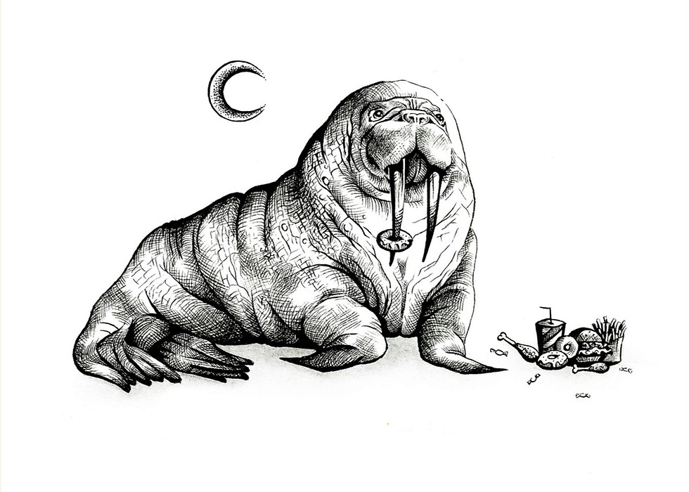 A photo of an original drawing by artist Mikayla Forster depicting Garry the glutton a walrus