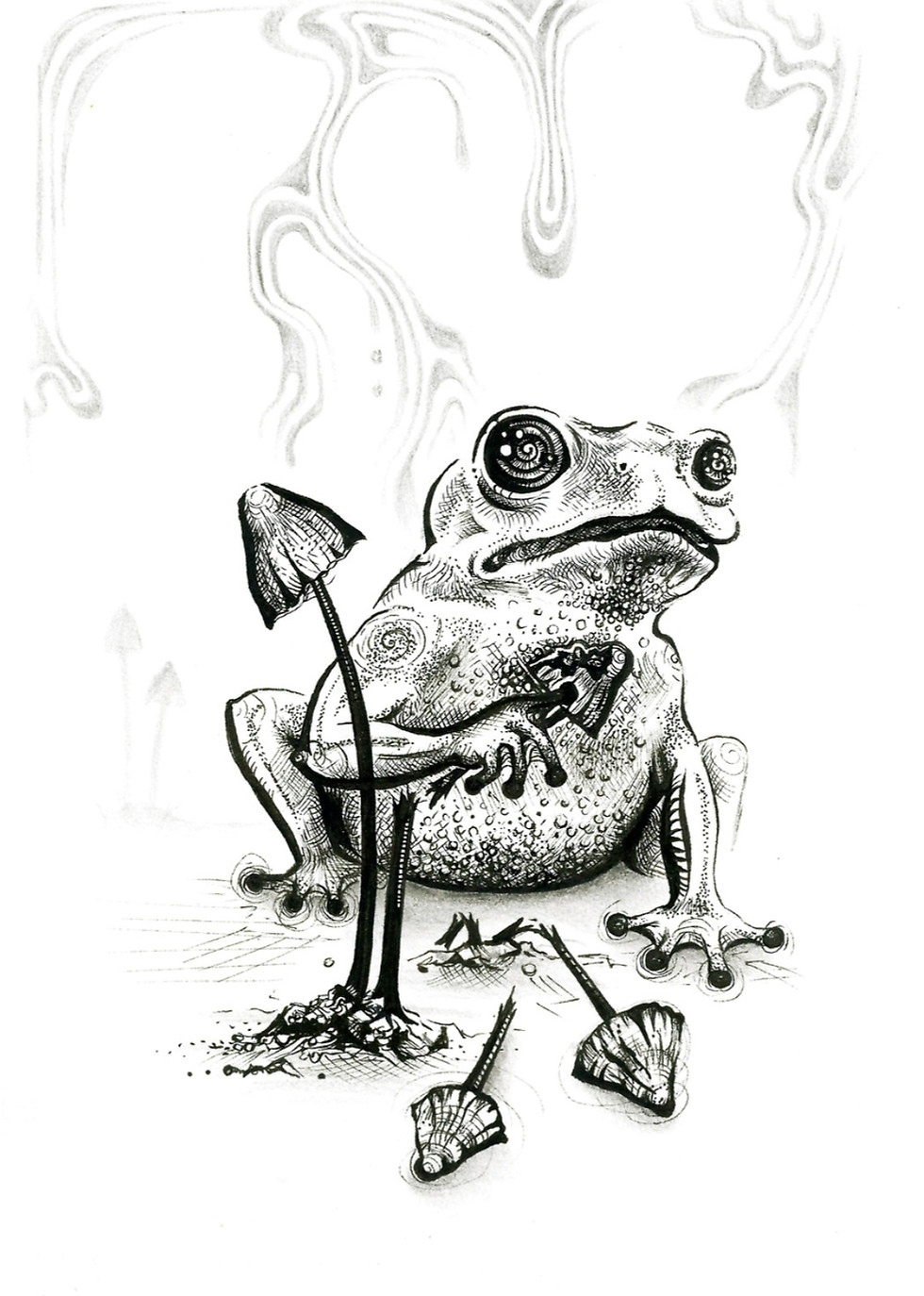 A photo of an original drawing by artist Mikayla Forster depicting a frog with magic mushrooms