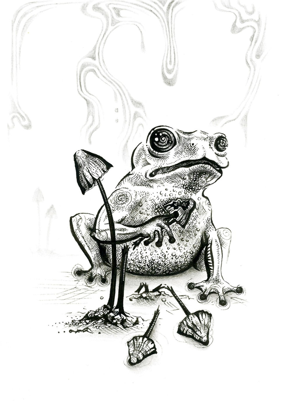 Thumbnail: A greetings card created by New Zealand Artist Mikayla Forster. The card depicts a frog and mushrooms.