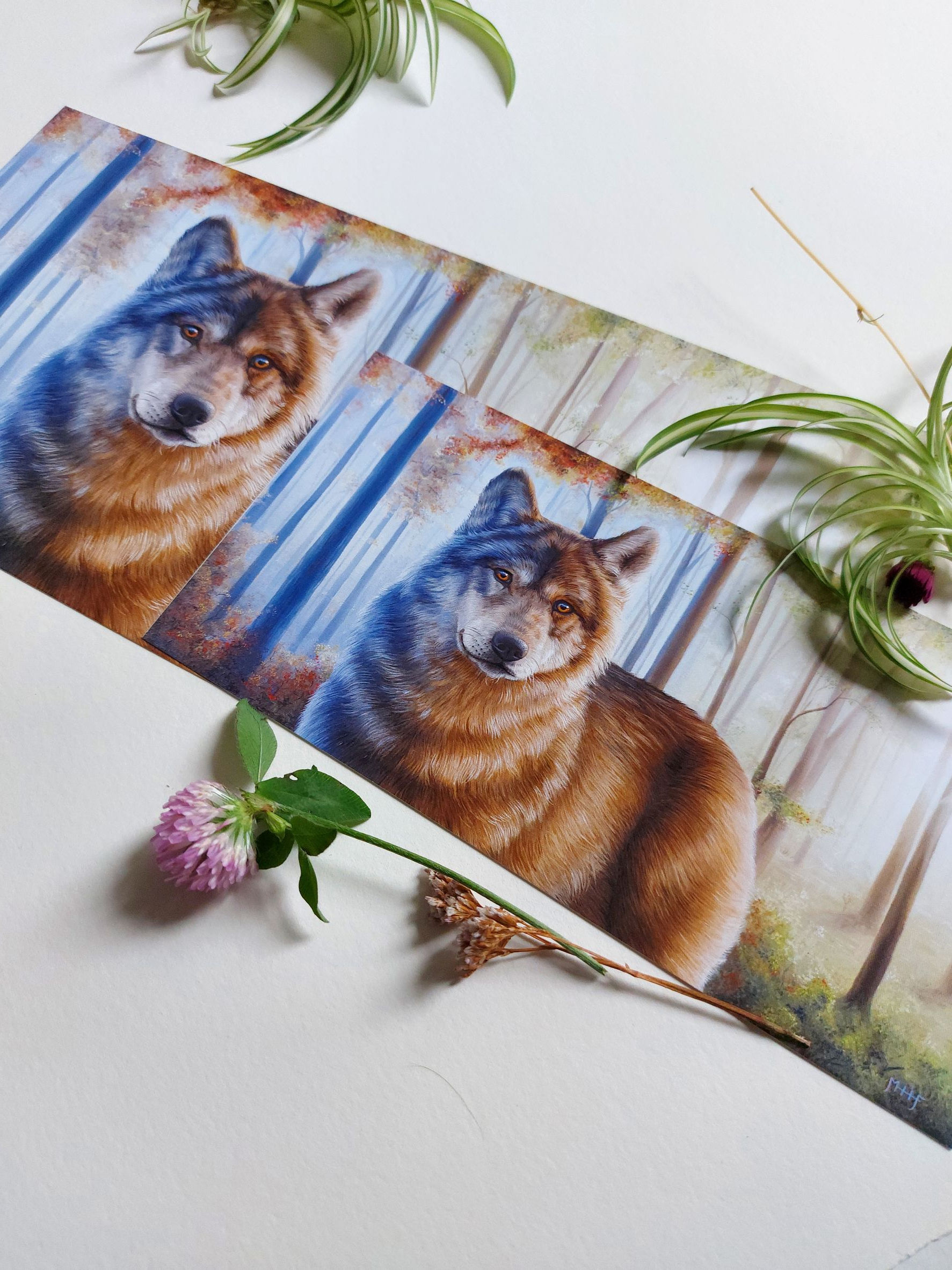 A photograph of fine art prints by New Zealand artist Mikayla Forster. This art print depicts a wolf