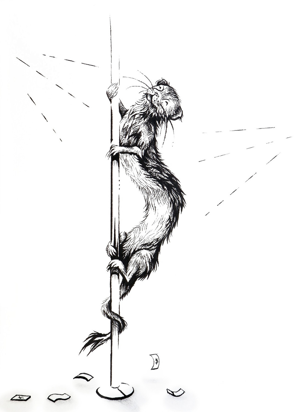 A photo of an original drawing by artist Mikayla Forster depicting Sharon the Stripper, a ferret on a pole