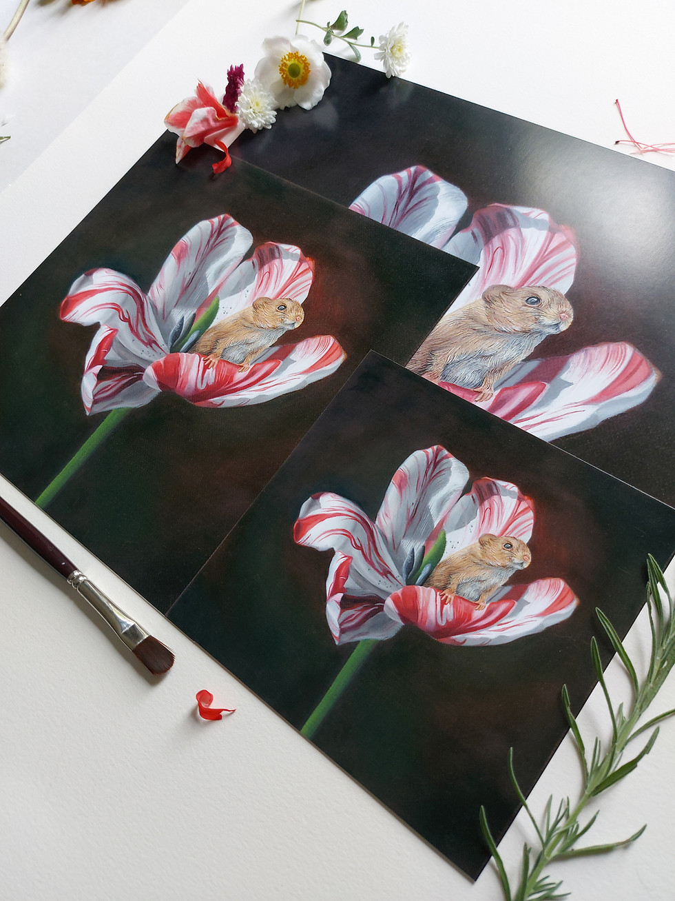 A photograph of fine art prints by New Zealand artist Mikayla Forster. This art print depicts a mouse in a flower