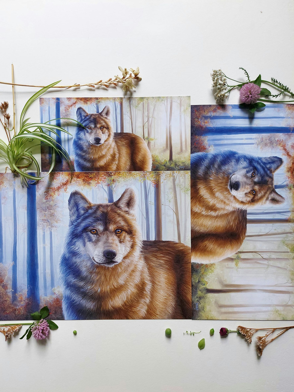 A photograph of fine art prints by New Zealand artist Mikayla Forster. This art print depicts a wolf