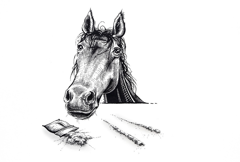 A photo of an original drawing by artist Mikayla Forster depicting a horse with lines of powder, Nose beer Nathan
