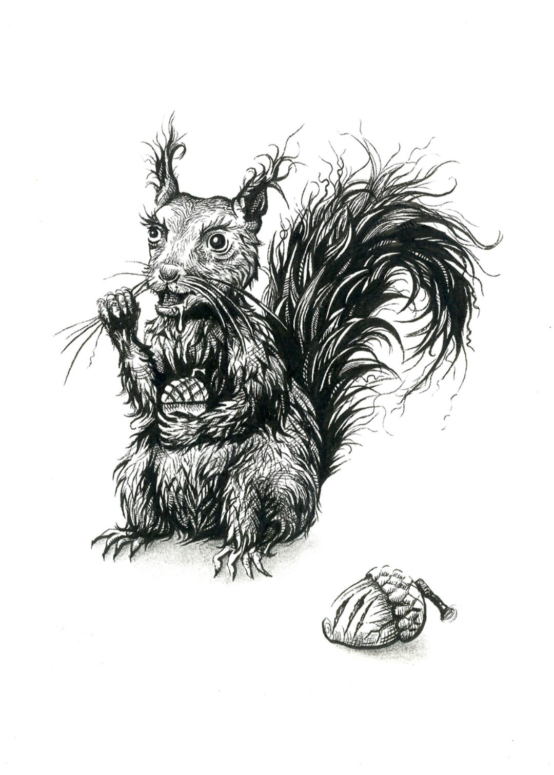 A photo of an original drawing by artist Mikayla Forster depicting a frog with a psychotic squirrel