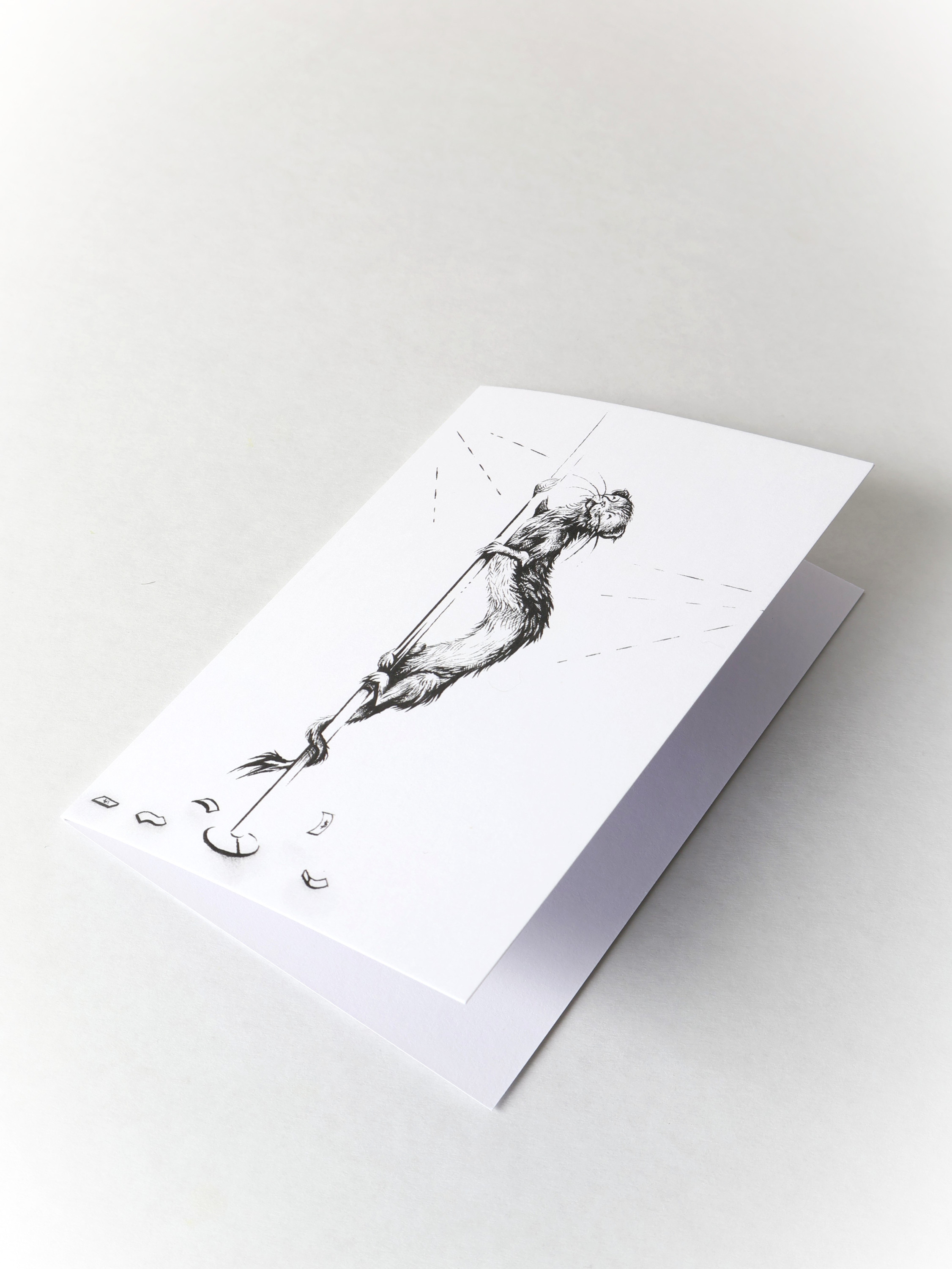 A greetings card created by New Zealand Artist Mikayla Forster. The card depicts a stripper ferret on a pole