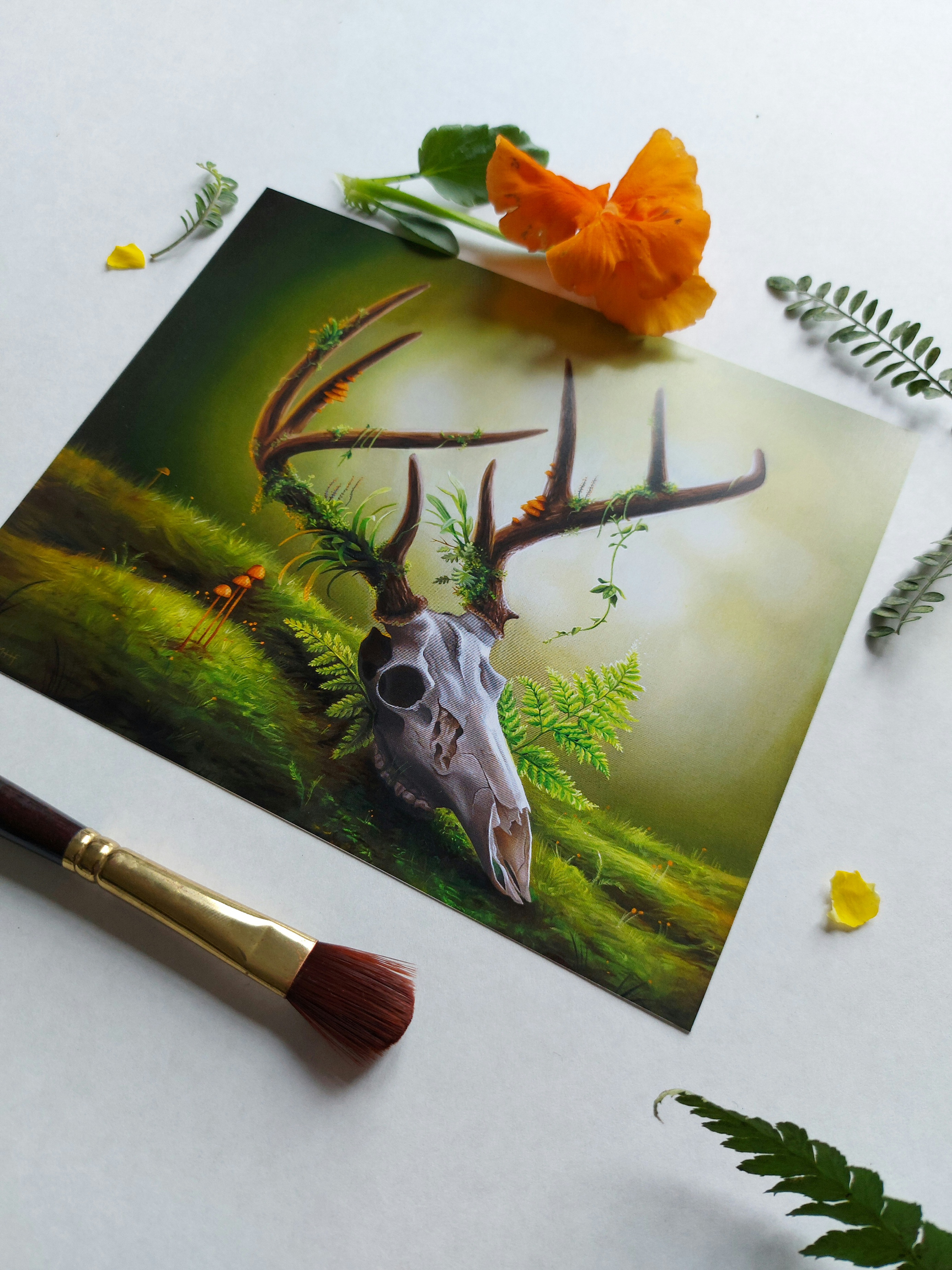 A photograph of fine art prints by New Zealand artist Mikayla Forster. This art print depicts a stag skull