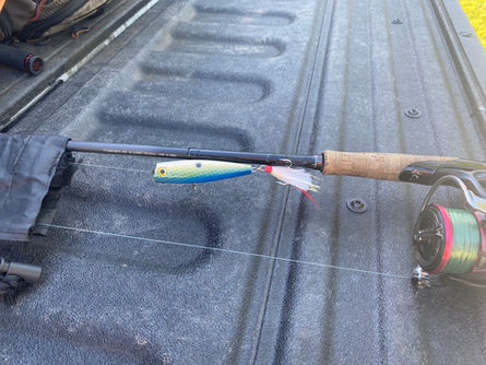 Epic Topwater Session...