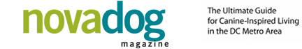 NOVA Dog Magazine