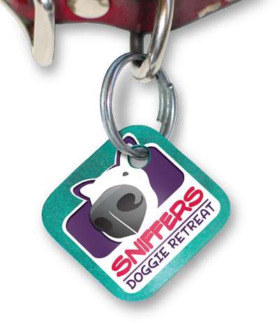 Sniffers Dog Retreat