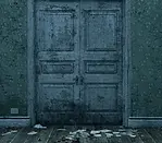 puerta 10.webp