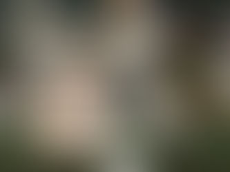 3 Pillars Of Shotokan Training : Part 4 - Kihaku (How Kihon, Kata, and Kumite Unite — The Complete Way of Shotokan and the 4th K: Kihaku 気迫)