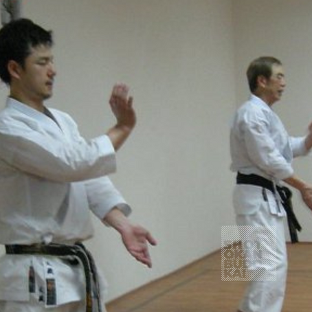 The Empty Cup and the Way of Martial Arts