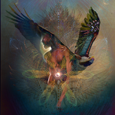 Liberation