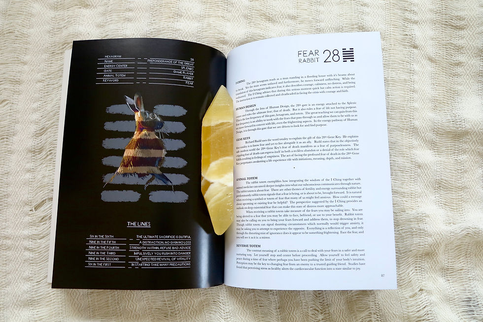 Thumbnail: Animal Totems and the I Ching: Exploring the I Ching, Human Design, and The Gene