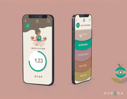 AURORA_Mesa de trabajo 1