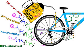 images_large_cs2c05690_0012.jpeg