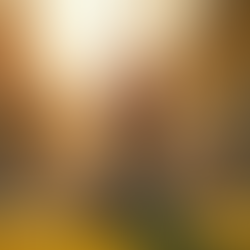 Effective Ways to Conquer Trauma