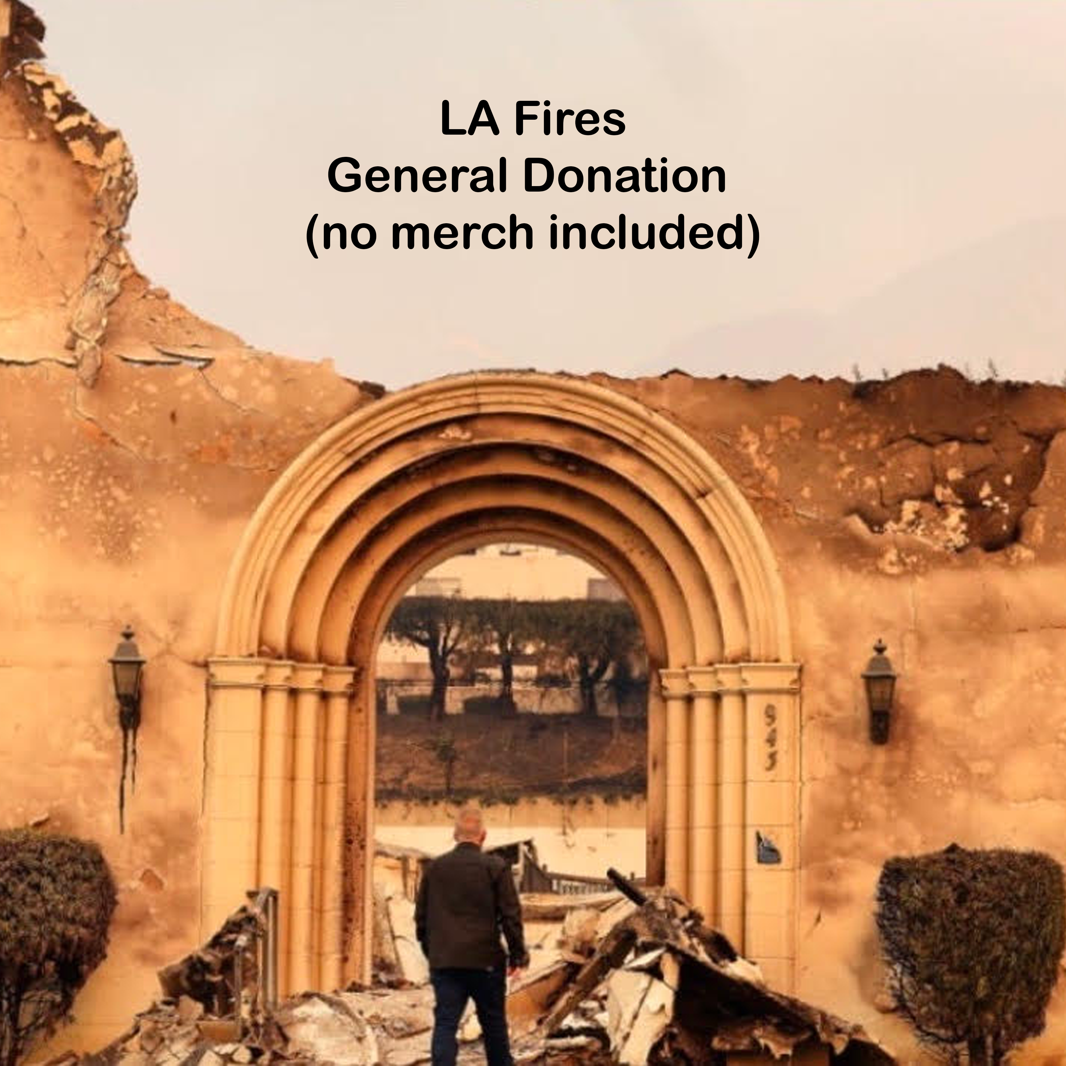 LA Fires General Donation