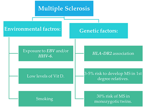 Multiple Sclerosis Study Guide Let S Talk Medicine