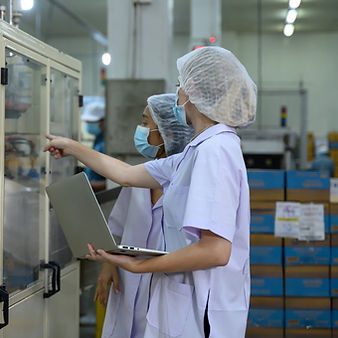 Fortis - NZ people (1).png