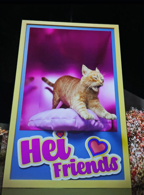 평면 고양이 1_edited.jpg