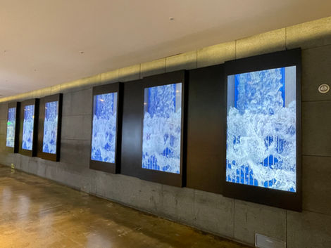 live aisle waterfall2.JPG