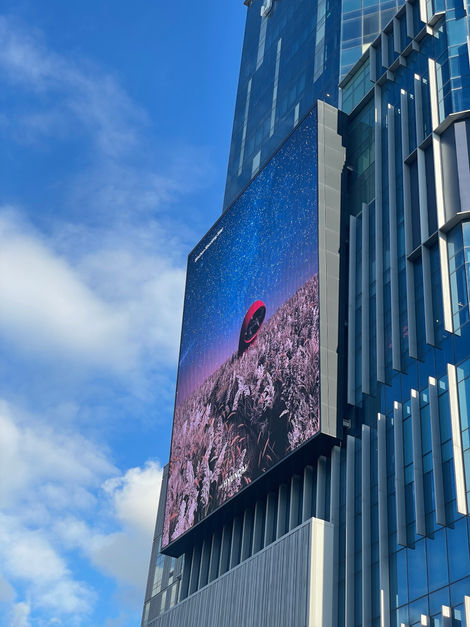 shooting star live1.JPG