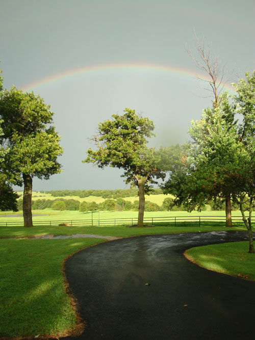 PHOTOGRAPHY BY CATHI BALL ART.