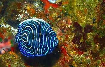P8092688 (002).JPG