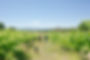 Day3-6.jpg