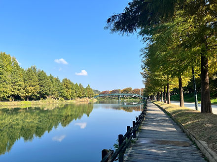 Gwanbangherim Riverbank Forest 02.JPG