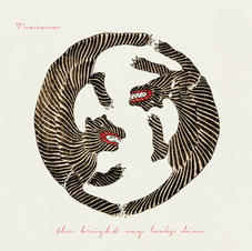 the bright way looks dim album cover 1.j