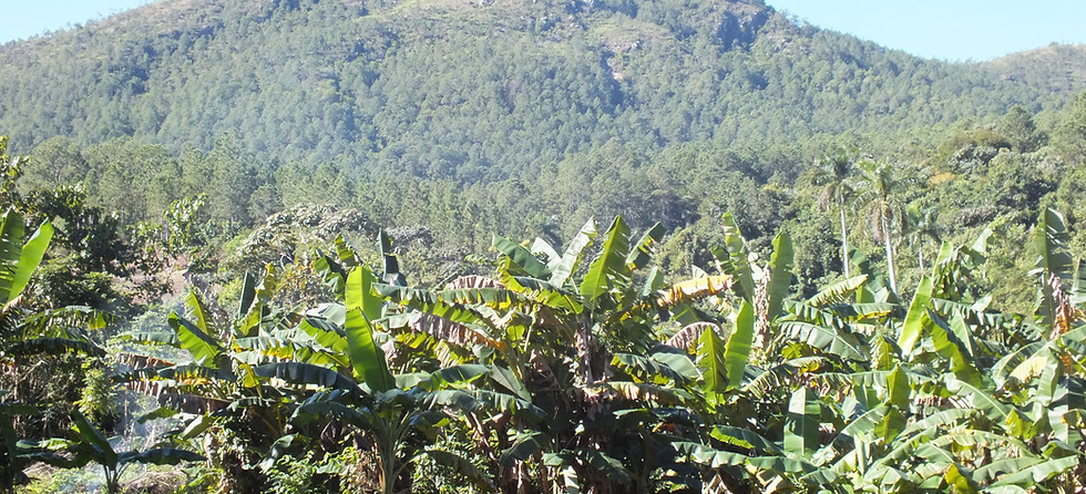 DSCF7750.JPG