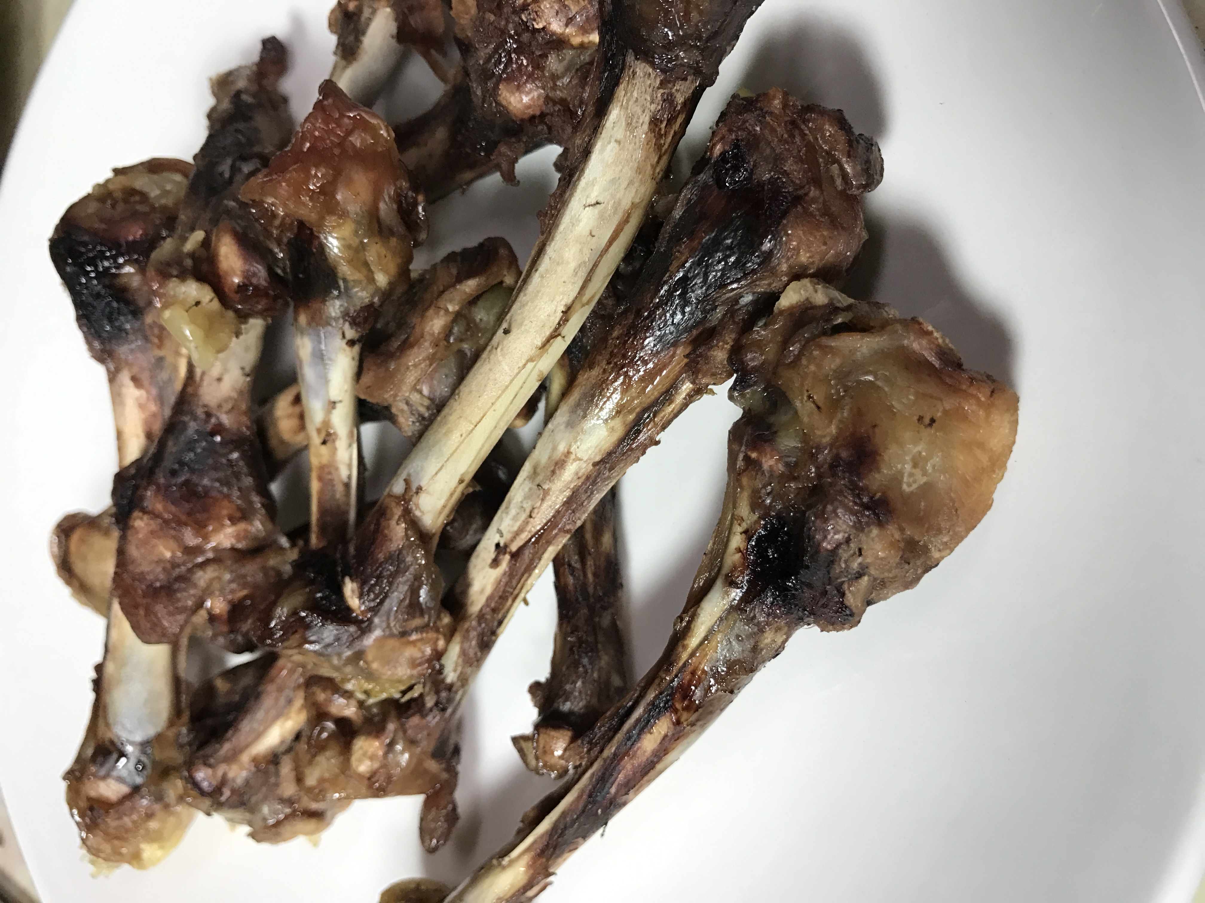 雞骨 Chicken bones