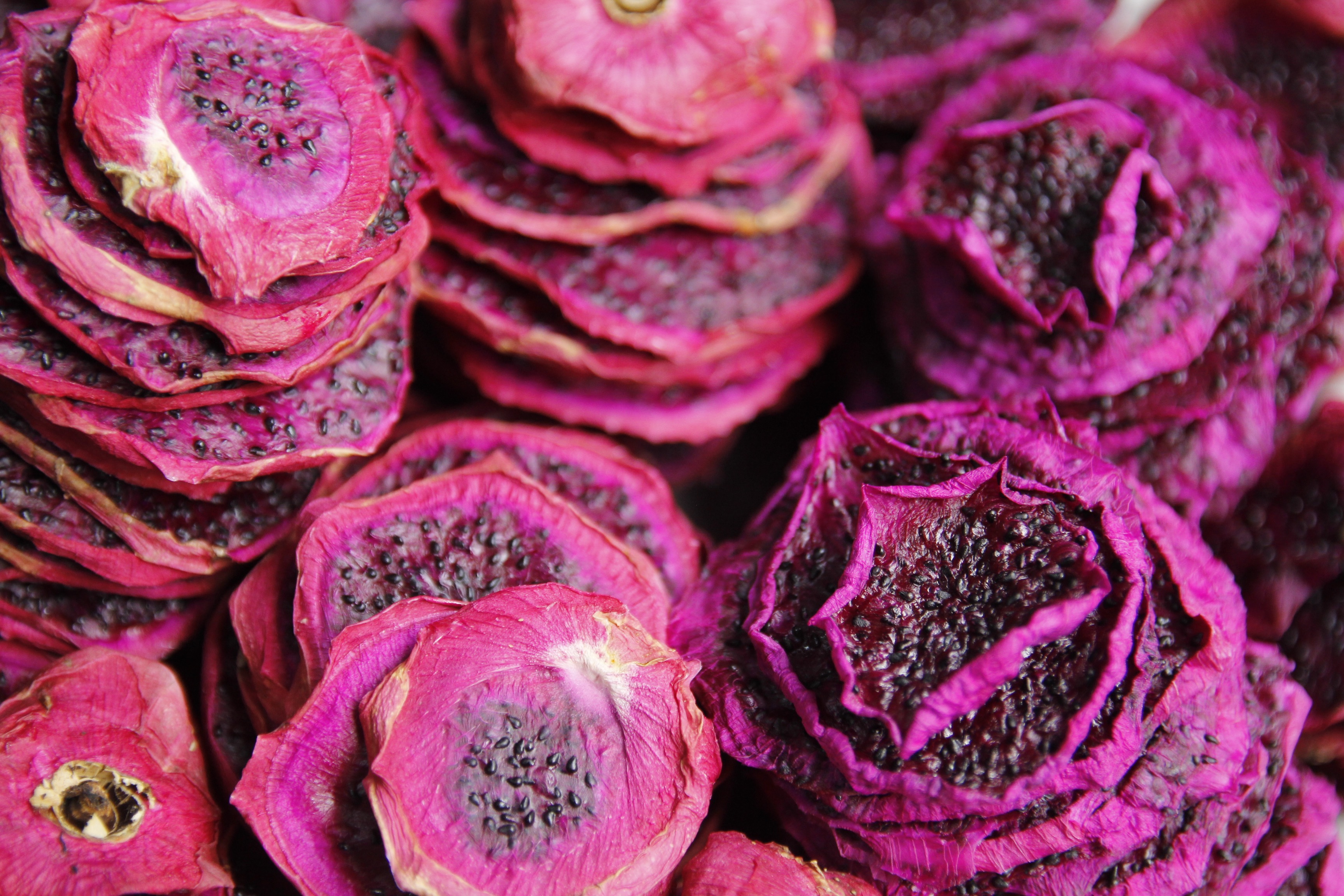 火龍果 Dragon Fruit